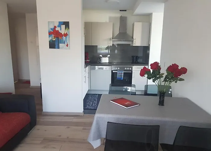 Casa Colori Rheinfelden 公寓 *